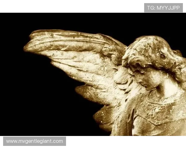 ✅体育直播🏆世界杯直播🏀NBA直播⚽- 法医秦明：开始写故事是因为“委屈”- sports